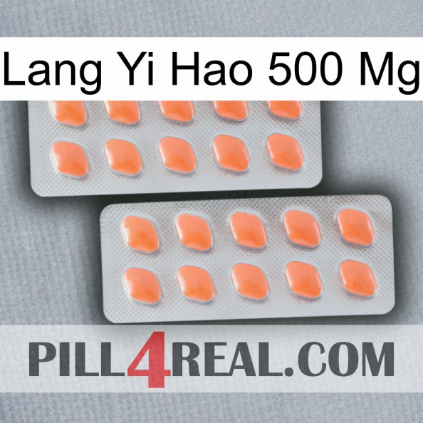 Lang Yi Hao 500 Mg 27.jpg